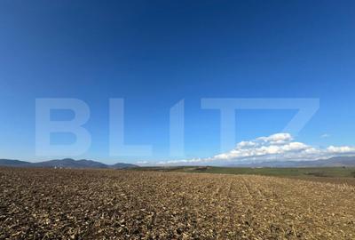 Teren extravilan agricol 5700 mp, Cristur - 2