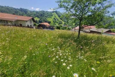 Teren de 1449 mp, în Moieciu