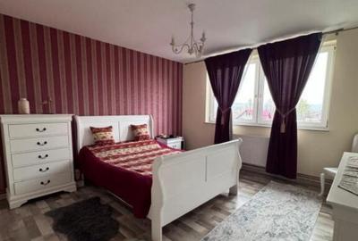 Oportunitate!! Casa individuala, afacere la cheie, Satu Mare - 2