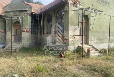 Oportunitate de investitie,în Dragsina,teren 9096 mp. - 5