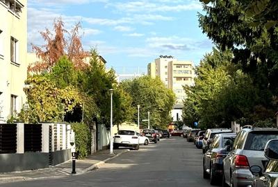 Vila interbelica, pod mansardabil, elemente originale - in Vatra Luminoasa! - 13