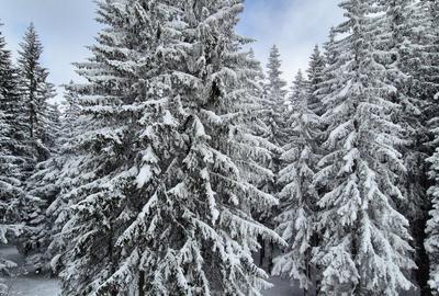 Pensiune RANCA | 8 camere | Langa Partia de Ski - 27