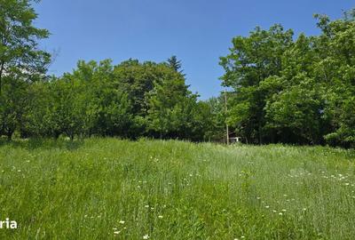 Spațiu comercial, în Bărzila - 5