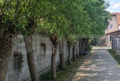 Casa individuala 5 camere, 161 mp utili, 725 mp teren, Dumbr - 3