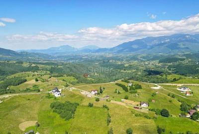Teren intravilan - 4