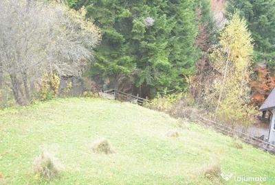 Teren de 1300 mp, în Valea Alba - 3