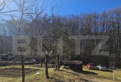 Teren de 1195 mp, în Făget