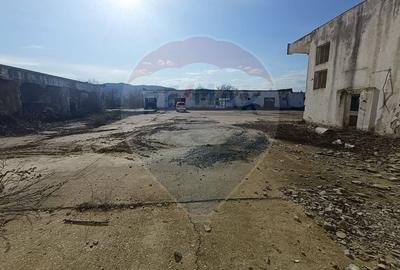 Spațiu industrial, de 5,000 mp, în Niculițel - 16