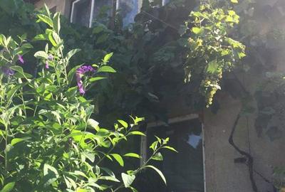 Casă cu Teren 280 Mp în Marghita - 1