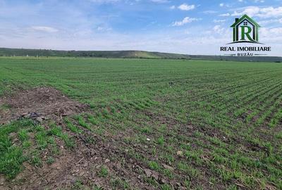 Teren de 7500 mp, în Central - 1