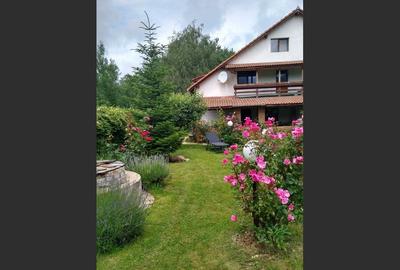 House for sale, 5 Rooms, 180 sqm, Valea Dejani - 9