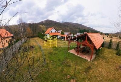 Casă singur în curte – Mureș – Câmpu Cetății - 26