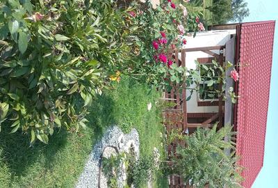 Casă cu 3 camere cu Teren 4434 Mp în Geaca - 10