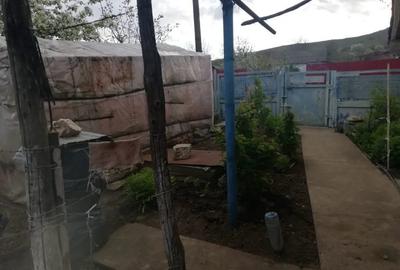 Casă cu 3 camere în Balabancea - 15