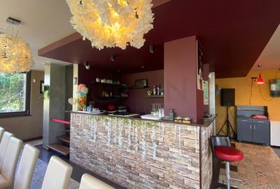 REC3001500 Restaurant de vanzare  Parcul Tineretului - 5