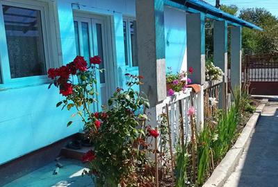 Casă cu 3 camere cu Teren 900 Mp în Șomcuta Mare - 9