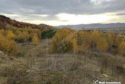 Teren intravilan - Salicea, 971 mp - 2