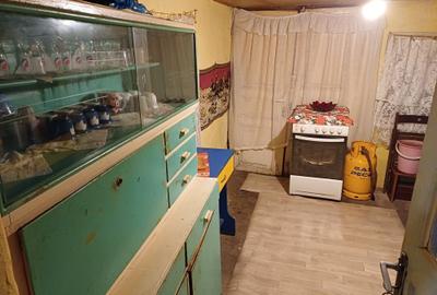 Casă cu 3 camere în Aluniș - 5