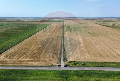 Teren Construcții extravilan de 5000000 mp, în Slobozia Ciorăști - 3