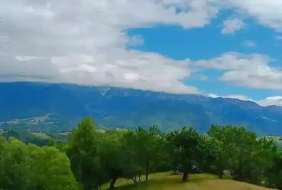 Se ofera spre vanzare teren in sat Magura