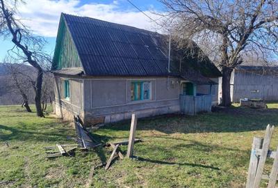 Spațiu comercial, în Borod - 4