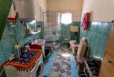 Casă individuală cu 3 camere cu Teren 9995 Mp în Ormindea - 22