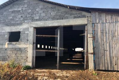 Ferma de vanzare in jud. Covasna, suprafata teren 4824 mp - 2