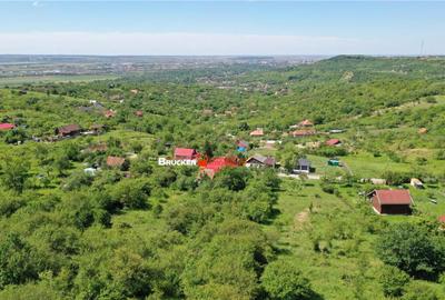 TEREN PENTRU CONSTRUCTIE REZIDENTIALA | 2878 MP | PODGORIA - 3