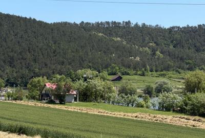 Teren de 1455 mp, în Stâna de Mureș - 12