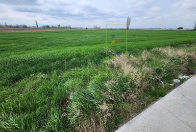 Teren agricol intravilan de 10000 mp, în Șag - 2