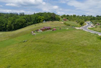 Teren cu potențial turistic în Vulcan BV– vedere panoramică - 15