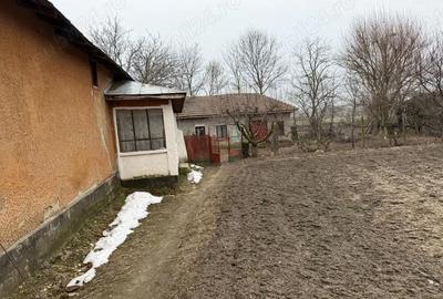 Casă cu 4 camere cu Teren 1450 Mp în Ștorobăneasa - 5