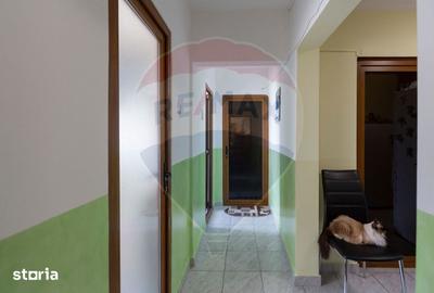 Apartament cu 3 camere decomandat în Mioriței - 13