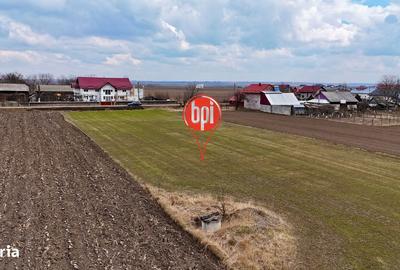 Teren de 6848 mp, în Baia - 14