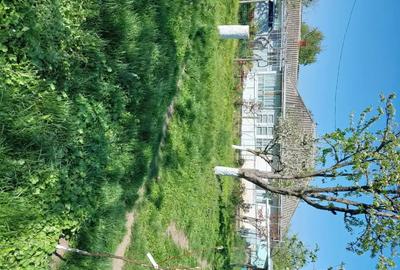 Casă cu 5 camere cu Teren 3400 Mp în Central - 2