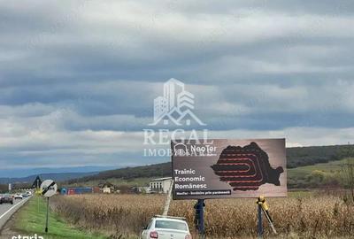 Teren de 3800 mp, în Sântandrei - 6