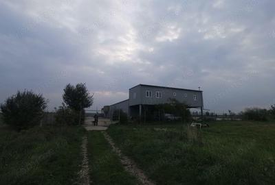 Exclusivitate Hala Padureni 400000 euro - 4