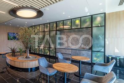 Birouri premium in Sibiu–Spatii flexibile moderne pentru companii TOP - 17