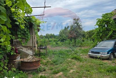 Casă cu 3 camere cu Teren 5000 Mp în Central - 2