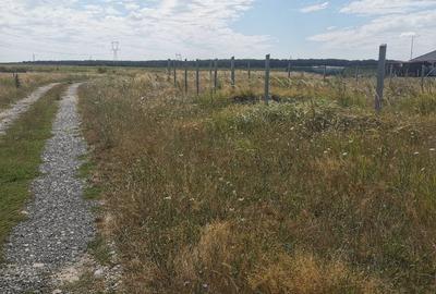 Spațiu comercial, în Leș - 1