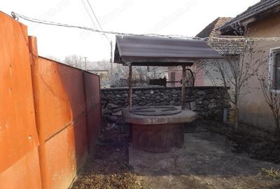 Casă cu Teren 1900 Mp în Pocruia - 2