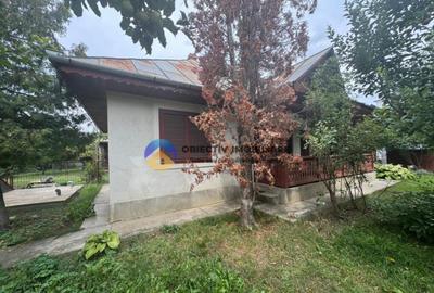 Casa tradi?ionala de vanzare in comuna Podoleni, jud. - 11