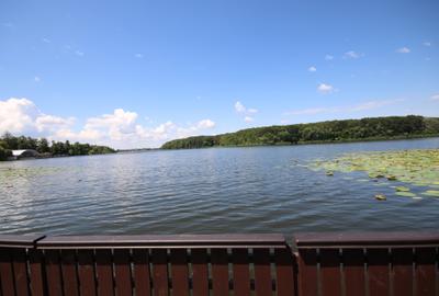 Teren Construcții intravilan de 16819 mp, în Snagov - 1