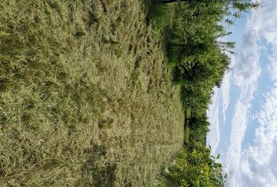 Spațiu comercial, în Buciumi