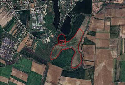 Teren extravilan agricol Peris, Ilfov - 2