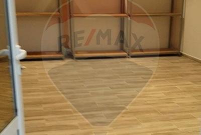 Casă cu două corpuri, ideală pentru firmă, Vitan - 17