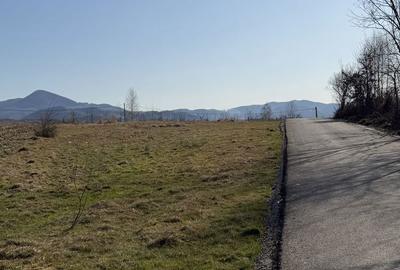 Spațiu comercial, în Central - 3