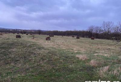 Caransebes, Teren Drept 5087 Mp. Ideal pt Casa 20 Euro Mp. Racovita - 7