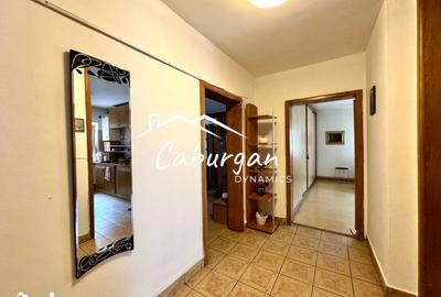 Apartament cu 3 camere decomandat, mobilat în Terezian - 8