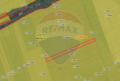 Teren agricol extravilan de 5876 mp, în Hărman - 3